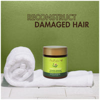 Shea Moisture Moringa & Avocado Power Greens Reconstructor 8 oz / 237 ml - For Weak, Brittle & Dry Hair