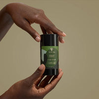 As I Am Rosemary Hair Wax Stick for Edge & Frizz Control & Sleek Styling for Curly & Coily Hair 2.7 oz