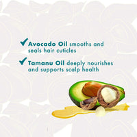 Mielle Avocado & Tamanu Anti-Frizz Curl Perfector 12oz