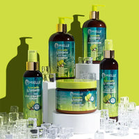 Mielle Avocado & Tamanu Anti-Frizz Shampoo 12oz