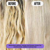 Purple Reign Tone Correcting Shampoo